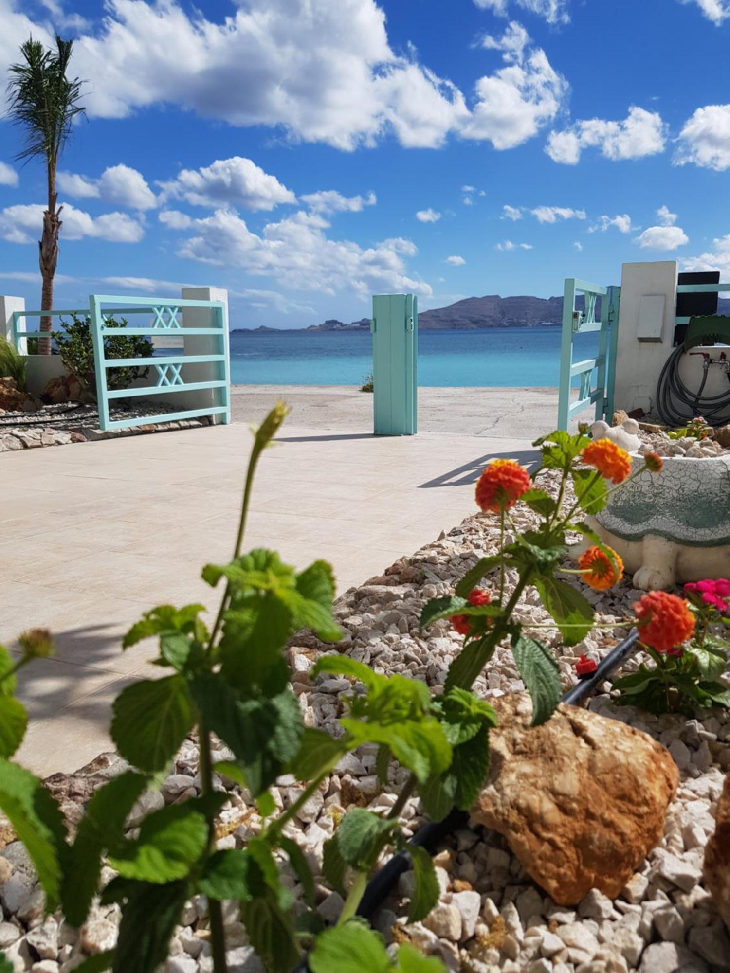 Haraki Mare Studios Beach Front Exterior photo