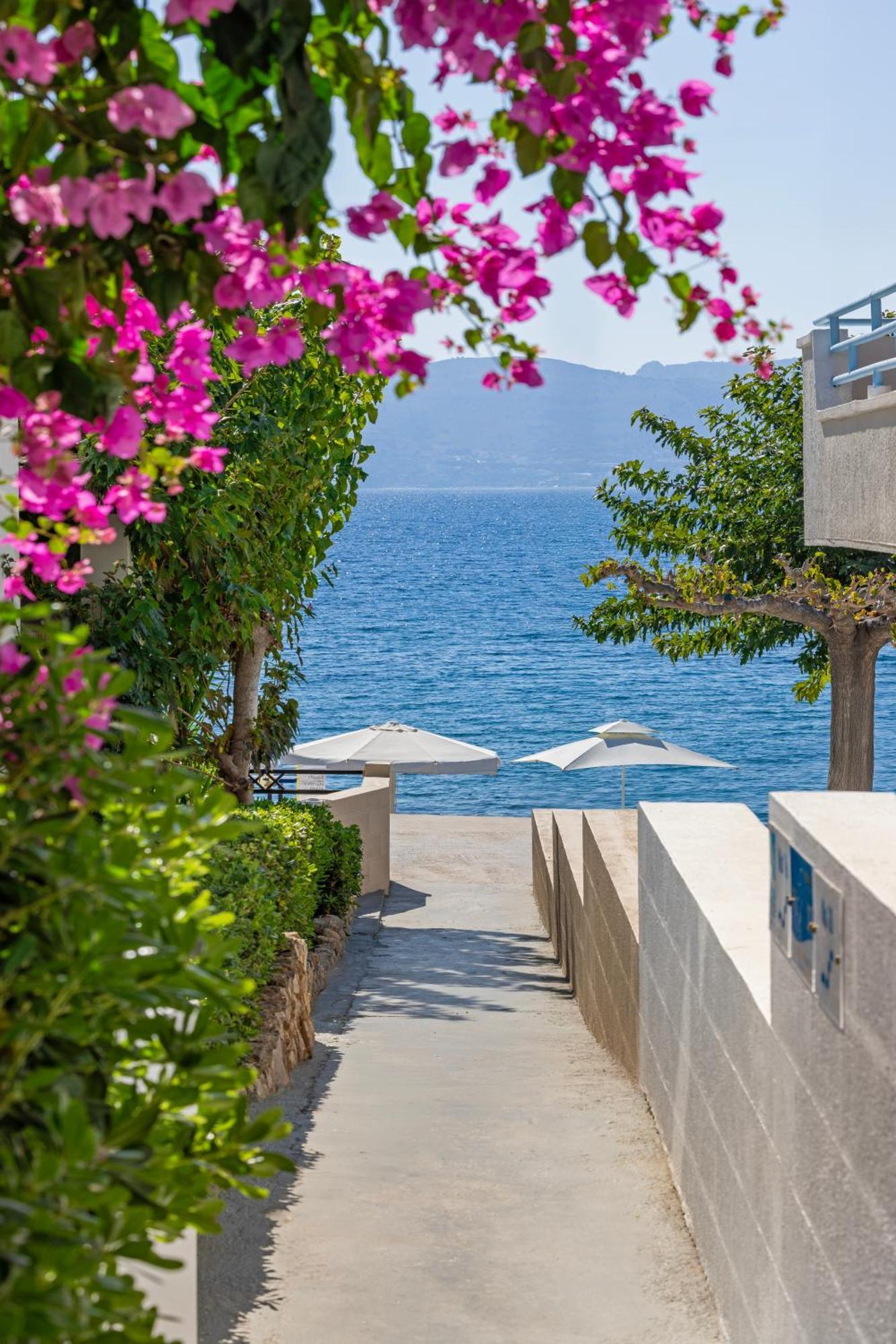 Haraki Mare Studios Beach Front Exterior photo